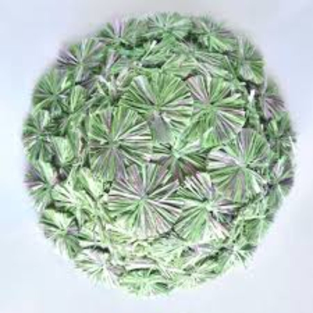 NWT Lele Sadoughi Straw Confetti Green Bucket Sun Vacation Hat - Picture 3 of 5